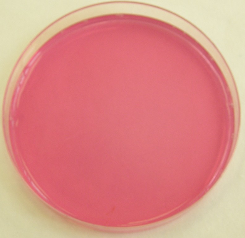 DRBC agar