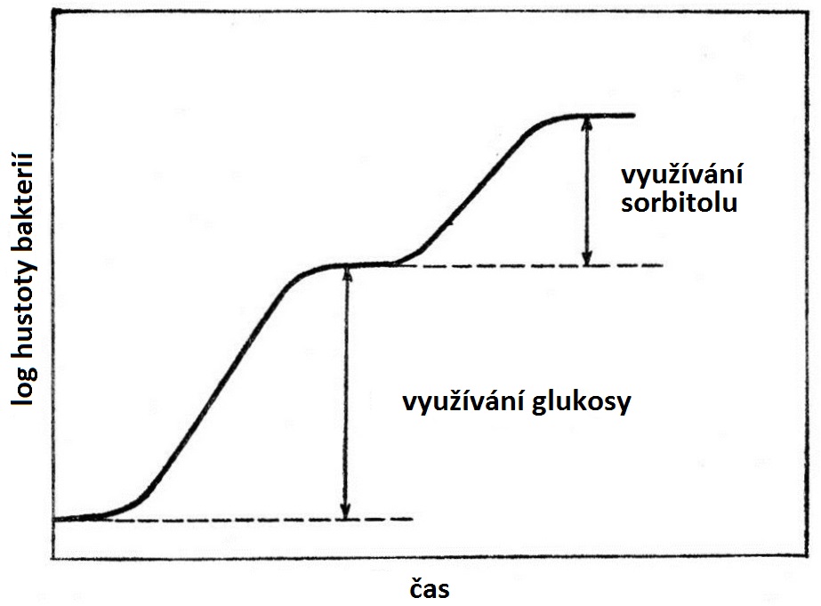 diauxie